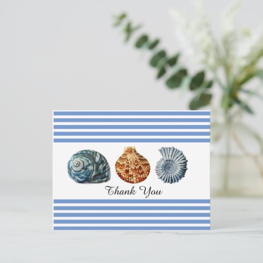 Carte postale à rayures bleues avec coquillages (Debout devant)