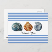 Carte postale à rayures bleues avec coquillages (Devant / Derrière)