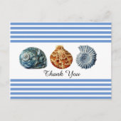 Carte postale à rayures bleues avec coquillages (Devant)