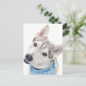 Carte Postale A Siberian Husky Mix Tilts its (Debout devant)
