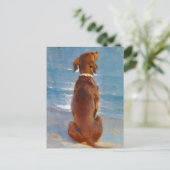 Carte Postale A sitting brown dog by P.S. Kroyer (Debout devant)