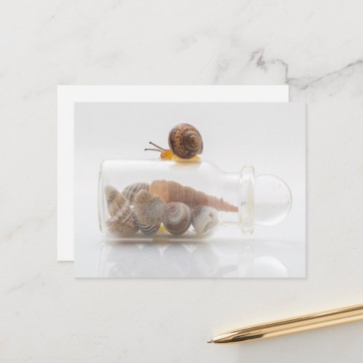 Carte Postale A snail and seashells (Devant/Arrière en situation)