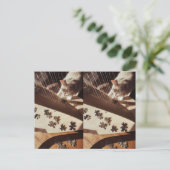 Carte Postale A Still Moment in Sunlight (Debout devant)