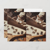 Carte Postale A Still Moment in Sunlight (Devant / Derrière)