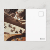 Carte Postale A Still Moment in Sunlight (Dos)