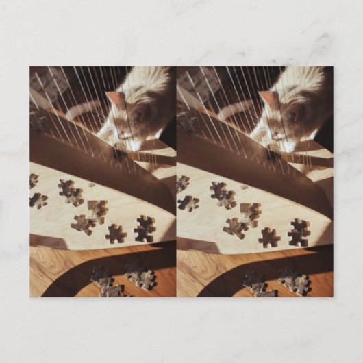 Carte Postale A Still Moment in Sunlight (Devant)