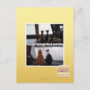 Carte Postale À travers épais et mince