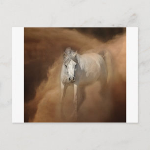 Carte Postale À travers la tempête de poussière