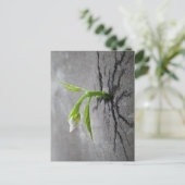 Carte Postale À travers le béton (Debout devant)