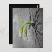 Carte Postale À travers le béton (Devant / Derrière)