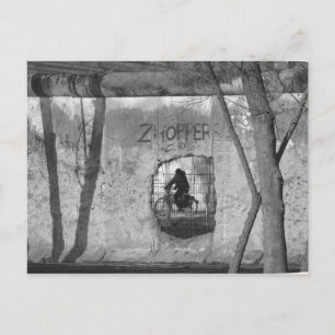 Carte Postale A travers le mur de Berlin III