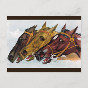 carte postale à trois chevaux