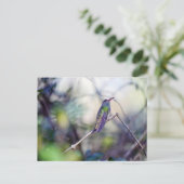 Carte postale à ventre cassé (Debout devant)