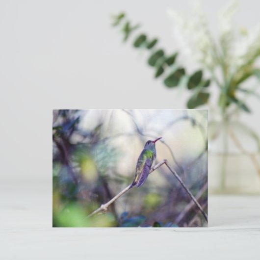 Carte postale à ventre cassé (Debout devant)