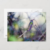 Carte postale à ventre cassé (Devant / Derrière)