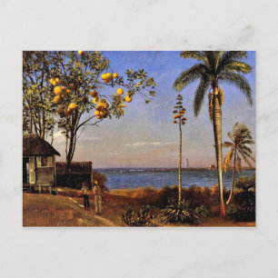 Carte Postale A View in the Bahamas, Albert Bierstadt peinture