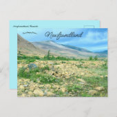 Carte Postale A View of Newfoundland (Devant / Derrière)