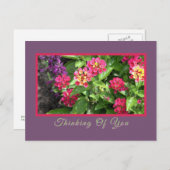 CARTE POSTALE "À VOS PENSÉES" FLORAL/LANTANA (Devant / Derrière)