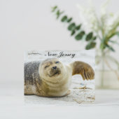 Carte Postale A Wave and a Wink From a Seal in New Jersey (Debout devant)