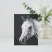 Carte Postale A White Horse (Debout devant)