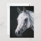 Carte Postale A White Horse (Devant / Derrière)