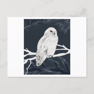 Carte Postale A white winter owl perches on a branch