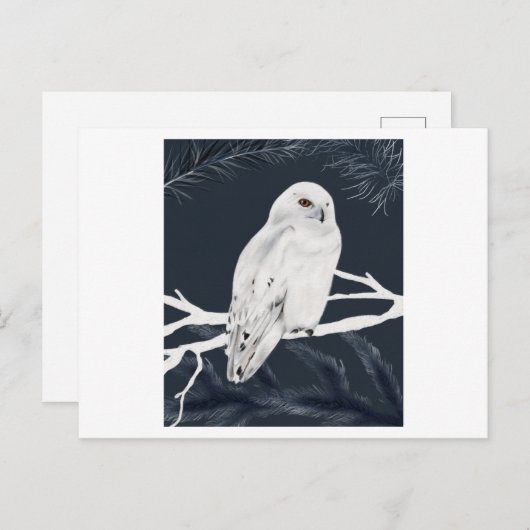 Carte Postale A white winter owl perches on a branch (Devant / Derrière)