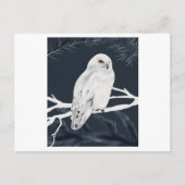 Carte Postale A white winter owl perches on a branch (Devant)