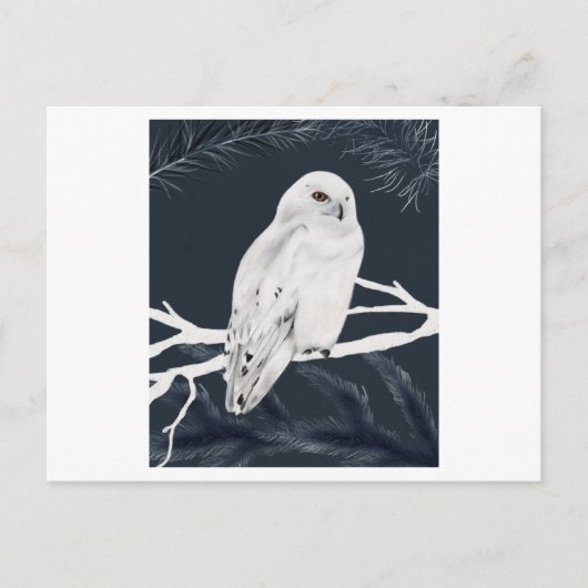 Carte Postale A white winter owl perches on a branch (Devant)