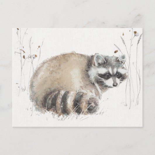 Carte Postale A Woodland Walk X (Devant)