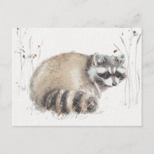 Carte Postale A Woodland Walk X