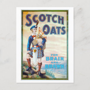 Carte Postale Aats écossais vintages "Pour le cerveau et le braw