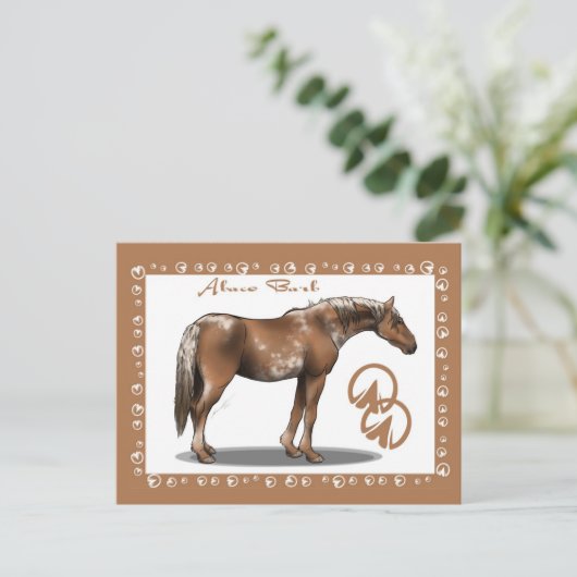 Carte Postale Abaco Barb (Debout devant)