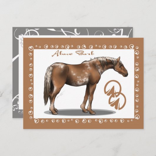 Carte Postale Abaco Barb (Devant / Derrière)