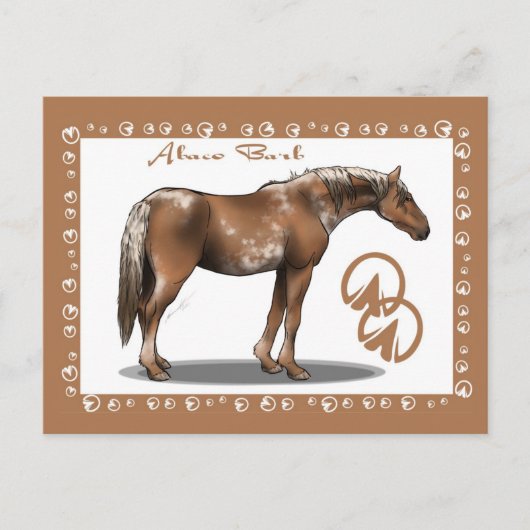 Carte Postale Abaco Barb (Devant)