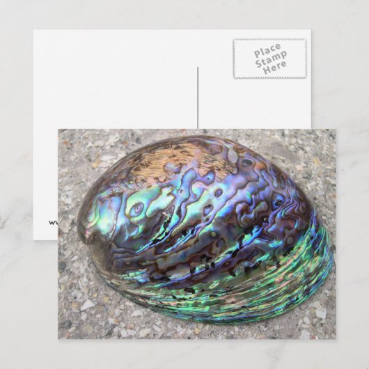 Carte Postale Abalone (Devant / Derrière)
