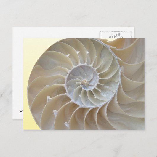 Carte Postale Abalone (Devant / Derrière)