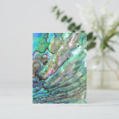 Carte Postale Abalone (Debout devant)