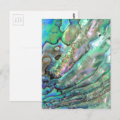 Carte Postale Abalone (Devant / Derrière)