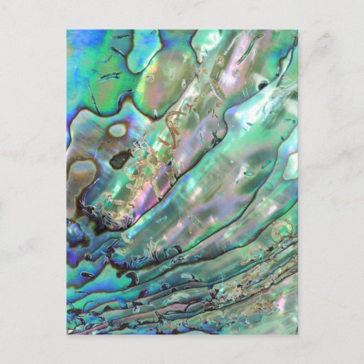 Carte Postale Abalone (Devant)