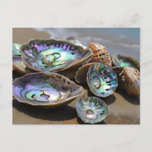 Carte Postale Abalone Shells sur la plage (Devant)