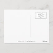 Carte Postale Abandon pacifique - Coup de fontaine, KY (Dos)