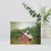 Carte Postale Abandonné et surcultivé (Debout devant)