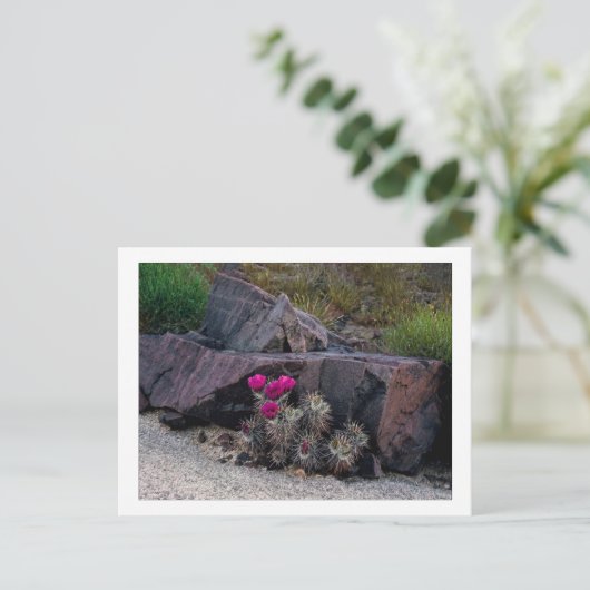 Carte Postale "Abandonné sur une fleur " (Debout devant)