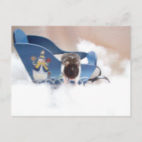 abandonnez la traîneau ! !