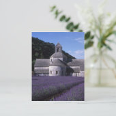 Carte Postale Abbaye de Senanque, Gordes, Vaucluse, Provence, 2 (Debout devant)