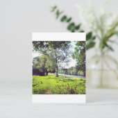 Carte Postale Abbotsford (Debout devant)