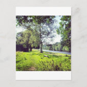 Carte Postale Abbotsford (Devant)