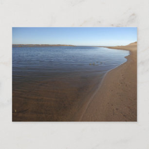 Carte Postale Abbotts Lagoon II à Point Reyes National Seashore