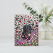 Carte Postale Abby en Fleurs - Chien de laboratoire noir (Debout devant)